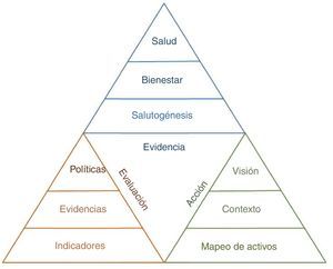 Modelo de activos para la salud pública. (Adaptada de Morgan, Hernán y Ziglio6, con permiso de los autores.).