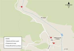 Localización de los puntos de muestreo y del punto donde uno de los técnicos recibió picaduras en la oreja, en el municipio de Ojós, a orillas del río Segura. (Mapa elaborado con la aplicación informática VecMap®.)