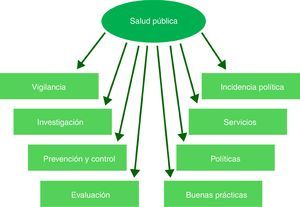 Papel de la salud pública en el estudio y la prevención de la violencia de odio. Fuente: Modificada de EuroSafe. Policy briefing 1 (2007). The role of public health in injury prevention7.