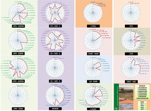 Diagramas del nivel de implementación de las actuaciones en ejecución del PAP&PD por consejería o entidad pública de la Junta de Andalucía, en 2017. ASSDA: Agencia de Servicios Sociales y Dependencia de Andalucía; CCUL: Consejería de Cultura; CEDU: Consejería de Educación; CEEC: Consejería de Economía, Empleo y Comercio; CFV: Consejería de Fomento y Vivienda; CHAP: Consejería de Hacienda y Administración Pública; CIPS: Consejería de Igualdad y Políticas Sociales; CJI: Consejería de Justicia e Interior; CS: Consejería de Salud; CTD: Consejería de Turismo y Deporte; DGPD: Dirección General de Personas con Discapacidad; DGPM: Dirección General de Personas Mayores; ESPA: Escuela de Seguridad Pública de Andalucía; FAISEM; Fundación Andaluza para la Integración Social de Personas con Enfermedad Mental; IAAP: Instituto Andaluz de Administración Pública; SAE: Servicio Andaluz de Empleo; SAS: Servicio Andaluz de Salud; SGSS: Secretaría General de Servicios Sociales.