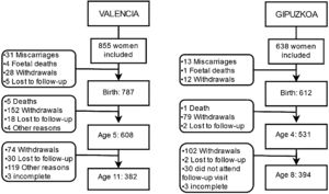 Flowchart describing cohort follow-up.