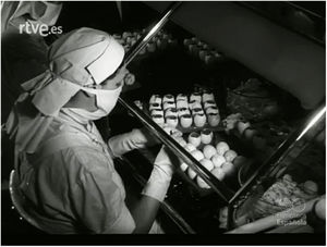 NO-DO 767A, 1957. Female laboratory assistant. © Filmoteca Española.