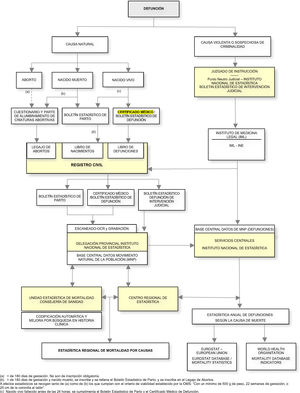 Circuito de la información de los documentos para la elaboración de las estadísticas de defunciones según la causa de muerte en España aplicado a la Región de Murcia.