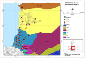 Distribution of pregnant women based on high-risk pregnancy in the work area of Talise Health Center, Palu City.