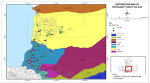 Distribution of pregnant women based on age in the work area of Talise Health Center, Palu City.