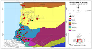Distribution of pregnant women based on pregnancy history in the work area of the Talise Health Center, Palu City.