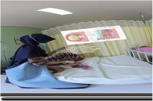 Display placenta physiology.