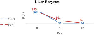 Improvements of liver enzymes.