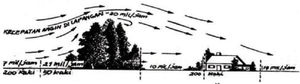 Trees reduce wind speed.15