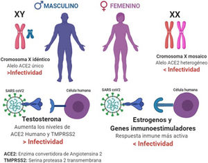 Figura 1