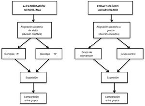 Comparación entre un estudio de aleatorización mendeliana y un ensayo clínico aleatorizado.