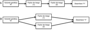Pleiotropía vertical y pleiotropía funcional. A: En la pleiotropía vertical, la variante genética “A” se asocia con un factor de riesgo (1), la variante genética “A” junto con el factor de riesgo (1) se asocian a otro factor de riesgo (2), y en conjunto llevan al desenlace “Y”. B: En la pleiotropía funcional, la variante genética “A” se asocia con dos factores de riesgo (1 y 2) simultáneamente, y en conjunto la variante genética “A”, el factor de riesgo (1) y el factor de riesgo (2) llevan al desenlace “Y”.