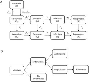 Descripción simplificada del modelo dinámico (A) y diagrama de la evolución de los infectivos (B).