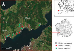 Área de estudio donde se indican la ubicación de los puntos de muestreo y los resultados de la vigilancia vectorial en relación con la presencia (puntos positivos) o ausencia (puntos negativos) de Aedes albopictus. Los números de los puntos de muestreo hacen referencia a la información indicada en la tabla 1.
