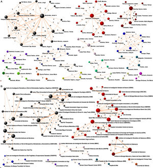 Networks of authors (A) and institutions (B) involved in the publications of articles related to cancer stem cells signed by at least one Spanish affiliation. The thickness of the spheres represents the number of articles published in the study.