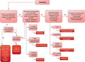 Algoritmo diagnóstico ante un paciente con flushing. (5-HIAA: ácido 5-hidroxiindolacético; IC: interconsulta; IgE: inmunoglobulina E; mPGD2: metabolitos de la prostaglandina D2; NE: norerepinefrina; VIP: péptido intestinal vasoactivo; VMA: ácido vanilmandélico).