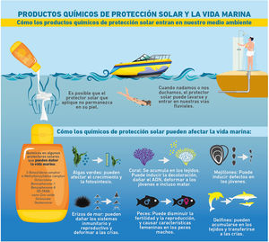 Productos químicos de protección solar y su posible impacto en la vida marina. Modificada de US Department of Commerce, National Ocean Service18.