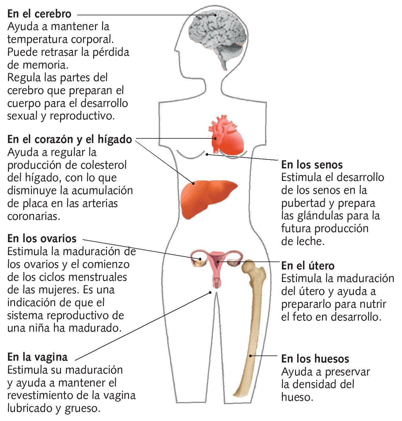 Enfermedades Benigna de La Vulva, PDF, Menstruación