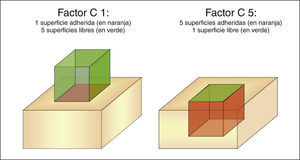 Descripción del factor C (fac de configuración).