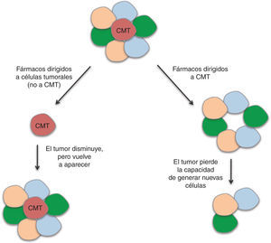 Esquema representativo de la diferencia entre el uso de tratamientos convencionales respecto a tratamientos dirigidos a células madre tumorales (CMT).
