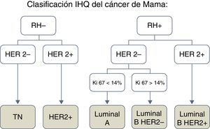 Clasificación inmunohistoquímica del cáncer de mama.
