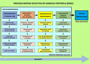 Mapa de procesos del procedimiento de BSGC.