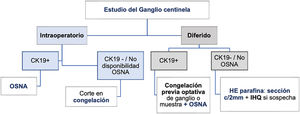 Algoritmo de recomendaciones.
