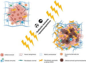Cambios en el estroma implicados en la resistencia a fármacos. Los FAC y su interacción con el tumor permiten desarrollar algunos mecanismos de resistencia, mediante la creación de una MEC más densa o fungiendo como barrera física. Creada con BioRender.com.