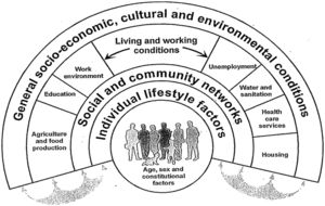 Modelo de determinantes sociales de la salud5.