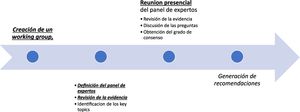 Metodología empleada en el proceso del consenso.