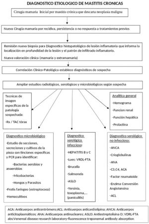 Modificado de García-Vilanova et al.7.