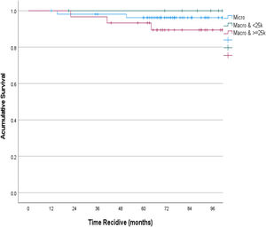Análisis de supervivencia libre de enfermedad. Creado con SPSS v28. > 25 k: >25.000, <25.K: <25.000.