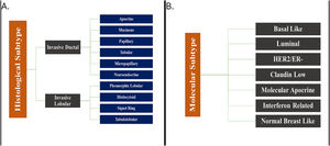 The subtypes of breast cancer. A. Histological subtypes of breast cancer; B. Molecular subtypes of breast cancer.