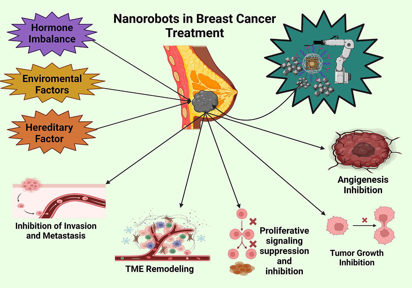Nanorobots for the treatment of breast cancer: Exploration and ...