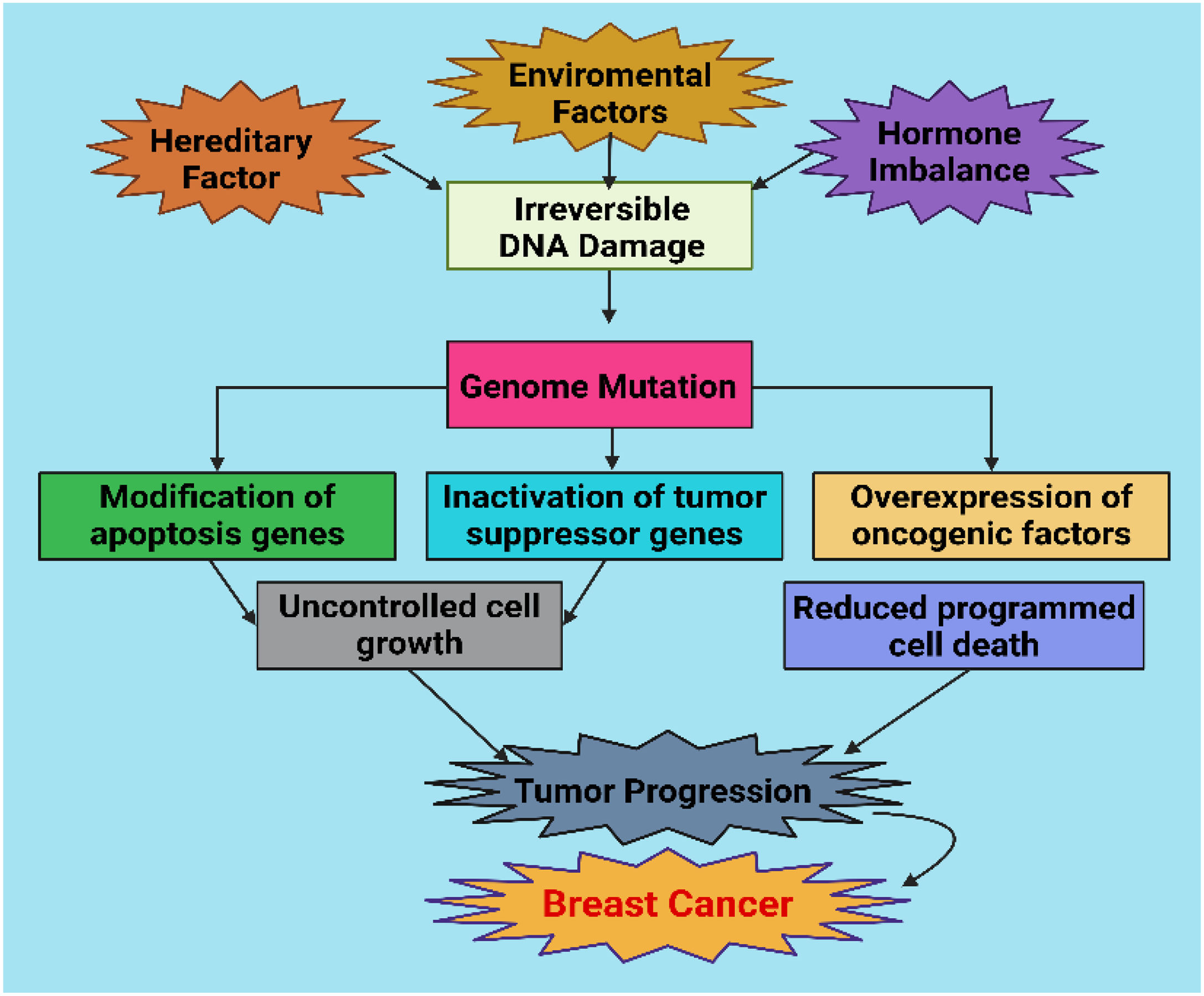 Nanorobots for the treatment of breast cancer: Exploration and ...