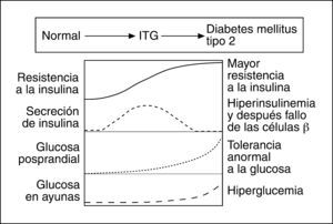 Relación entre la resistencia insulínica y la disfunción de las células beta determinada por el control glucémico y la secreción de insulina. Adaptada de International Diabetes Center (IDC). Minneapolis (Estados Unidos). ITG: tolerancia anómala a la glucosa.