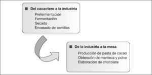 Proceso de elaboración del chocolate.