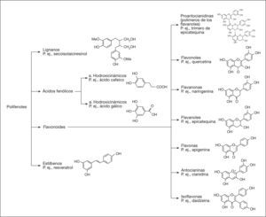 Diferentes clases de polifenoles y de flavonoides, con su estructura química22.