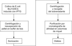Esquema del proceso de purificación.