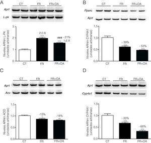 El ácido okadaico anula de forma parcial el efecto de la fructosa sobre la expresión de L-PK, pero no modifica la represión de PPARα y sus genes diana. Ensayo de RT-PCR para los genes L-PK (A), PPARα (B) ACO (C) y CYP4A1 (D) en células FaO incubadas en ausencia (condición control, CT), presencia de fructosa 25mM (condición fructosa, FR), o bien en presencia de fructosa 25mM y ácido okadaico 20nM (condición fructosa+ácido okadaico, FR+OA) durante 24h. Las gráficas muestran los niveles relativos de ARNm correspondientes a cada gen, normalizados por los niveles de ARNm del gen control, APRT, expresados como la media±desviación estándar para n=4 muestras por grupo de tratamiento (*p<0,05, **p<0,01 y ***p<0,001 respecto a la condición control; ###p<0,01 respecto a la condición fructosa).