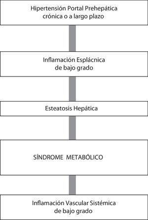 La hipertensión portal prehepática experimental, por mecanismos inflamatorios de origen esplácnico, puede ser causa de un tipo de síndrome metabólico asociado a una respuesta inflamatoria sistémica leve o moderada.