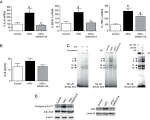 El agonista de PPARβ/δ GW501516 previene el perfil proinflamatorio inducido por dieta grasa en el corazón de ratones. A) Efecto de GW501516 sobre la expresión de IL-6 (izquierda), MCP-1 (centro) y TNF-α (derecha) en el corazón de ratones alimentados con una dieta enriquecida en grasa (HFD) o con una dieta HFD que además fueron tratados con GW501516 (HFD+GW501516). Los ratones alimentados con una dieta estándar fueron utilizados como control (Control). La cuantificación relativa de los niveles de ARNm se encuentra normalizada por los niveles de ARNm de APRT. B) Determinación mediante ELISA de los niveles plasmáticos de IL-6 de ratones alimentados con una dieta estándar (control), una dieta HFD o una dieta HFD y tratados con GW501516. C) La autorradiografía representativa del ensayo de EMSA muestra la actividad de unión al ADN de NF-κB en corazón. D) Niveles de proteína IκBα total y fosforilada en Ser32 (extractos de proteína total) y p65 (extractos nucleares) en el corazón de ratones alimentados con una dieta estándar (Control), una dieta HFD o una dieta HFD y tratados con GW501516. Los datos se expresan como la media±desviación estándar de 4 experimentos independientes. ap<0,05; bp<0,01 vs. Control; cp<0,05 vs. HFD.