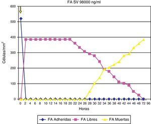 Adherencia de los fibroblastos (FA) bajo el efecto de la estatina (simvastatina).