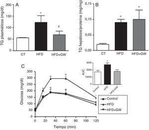 El tratamiento con GW501516 previene la hipertrigliceridemia y la intolerancia a la glucosa en ratones alimentados con la HFD. Los ratones fueron alimentados con una dieta estándar o con la HFD con o sin GW501516 (3mg/kg/día) durante 3semanas. A) Niveles de triglicéridos plasmáticos. B) Contenido de triglicéridos hepáticos. C) Test de tolerancia a la glucosa y área bajo la curva (AUC). Los resultados se expresan como la media±DE (n=5). *p<0,05 vs ratones control; #p<0,05 vs ratones alimentados con la HFD.