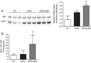 El tratamiento con GW501516 aumenta los niveles del ligando endógeno de PPARα 16:0/18:1-PC en ratones alimentados con la HFD. A) Niveles de ARNm de la Cept-1. Autorradiografía representativa y cuantificación normalizada con niveles de ARNm del gen control Aprt. Los resultados se expresan como la media±DE (n=5). B) Cuantificación del ligando 16:0/18:1-PC en extractos nucleares de hígado. Resultados expresados como la media±DE (n=5). *p<0,05; **p<0,01 vs ratones control; #p<0,05 vs ratones alimentados con la HFD.