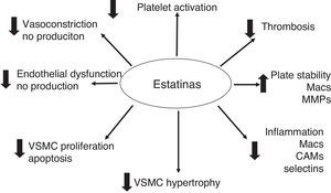 Pleiotropic vascular effects of statins.