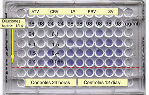 Distribución de las dosis en placas de 96 pocillos (en el ejemplo se muestra la siembra con distintas estatinas).