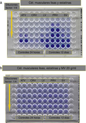 A) Ejemplo de ensayo de viabilidad celular (células musculares lisas) en presencia de estatinas. B) Ejemplo de reversibilidad de los efectos por la adición de mevalonato.
