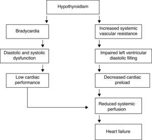Components leading to heart failure in hypothyroidism.