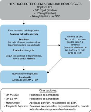 Algoritmo sugerido para el tratamiento de la hipercolesterolemia familiar homocigota